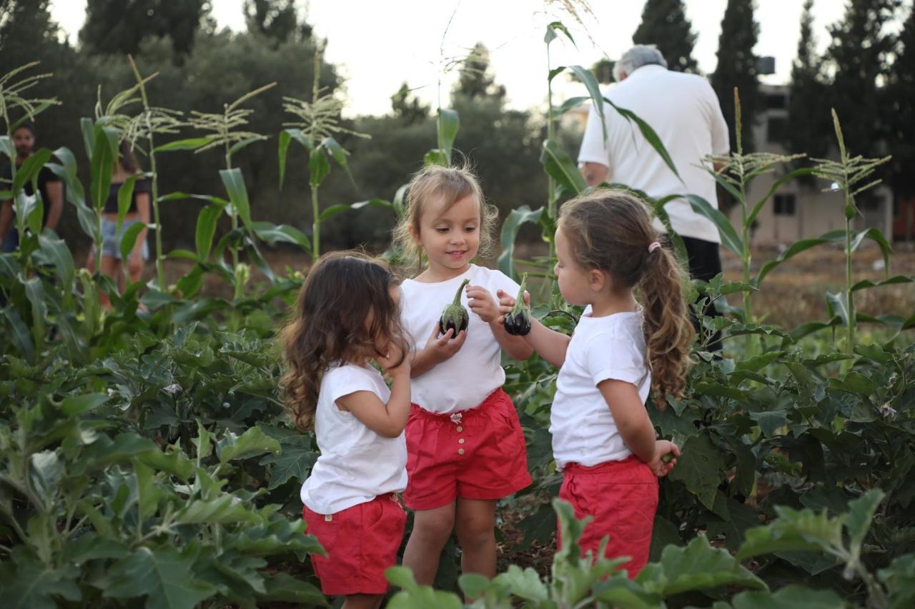 The Ranch Villa Kfar Hazir Luaran gambar